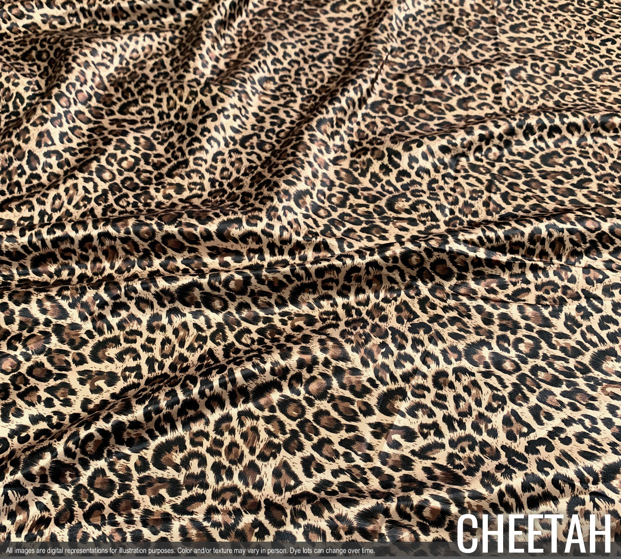 CHEETAH