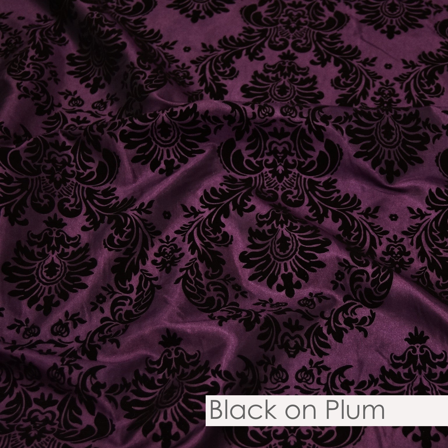 BLACK ON PLUM