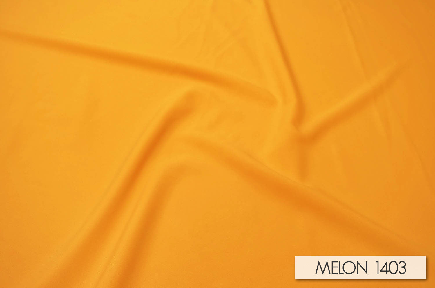 MELON 1403