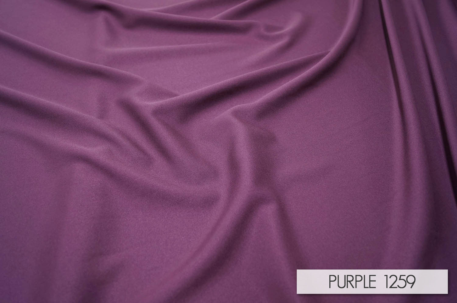 PURPLE 1259
