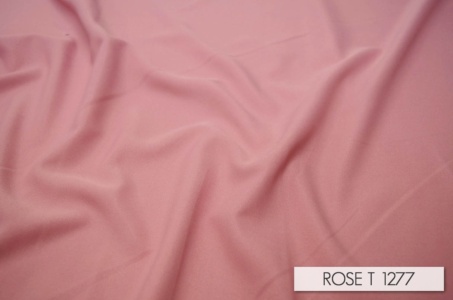 ROSE T 1277