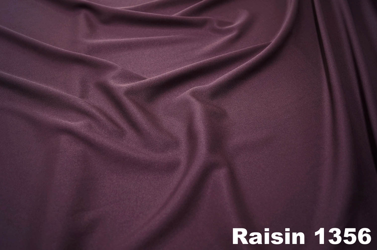 RAISIN 1356