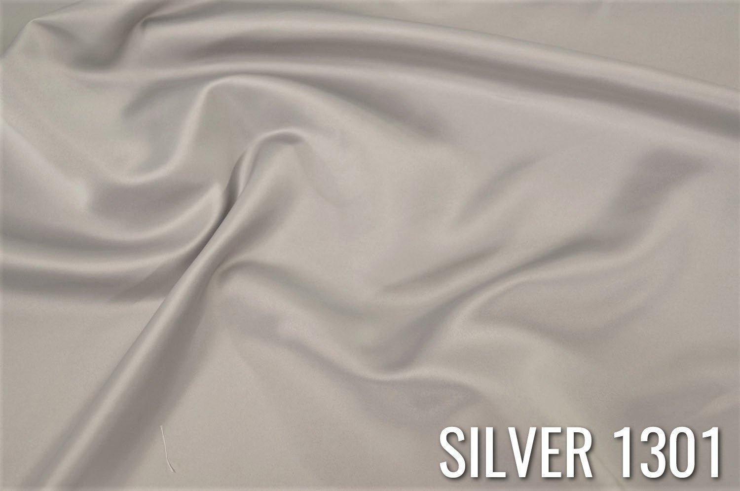 SILVER 1301