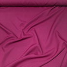 Fuchsia 1222